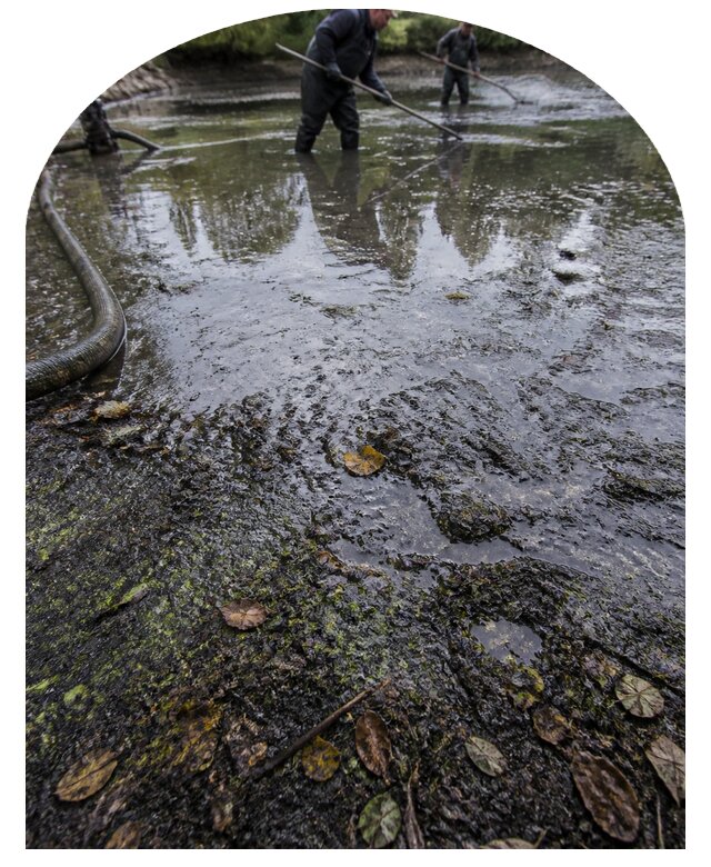 Очистка пруда в Аксае от ила мусора и водорослей с вывозом
